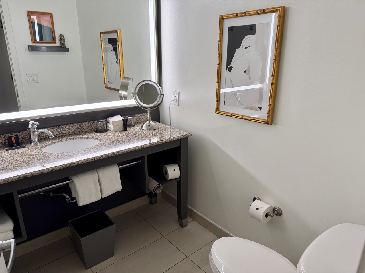 Andaz Savannah bathroom